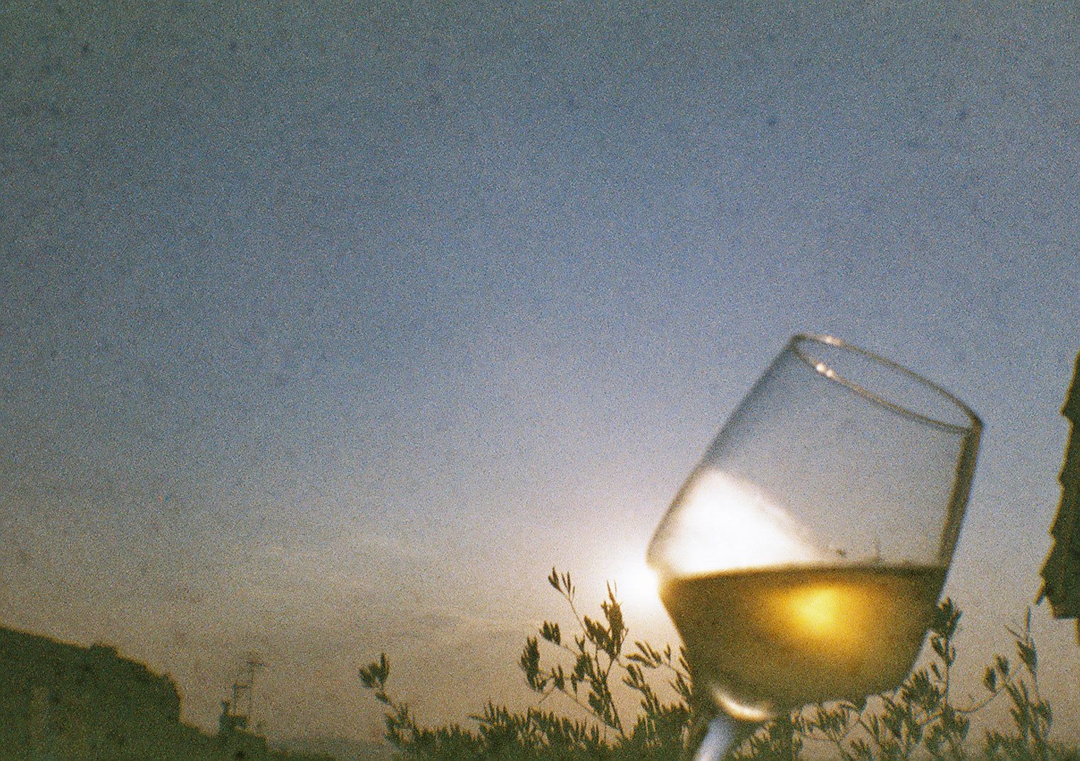 A glass of white wine tipped at an angle, with a blurred background featuring what appears to be a outdoor setting, possibly a garden or park.