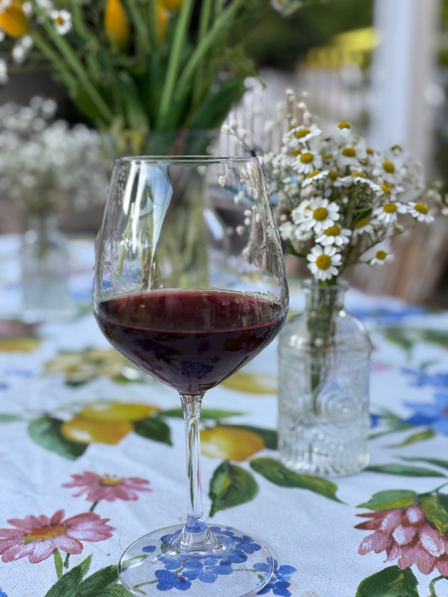 2024 'Hard Launch' Cabernet Franc