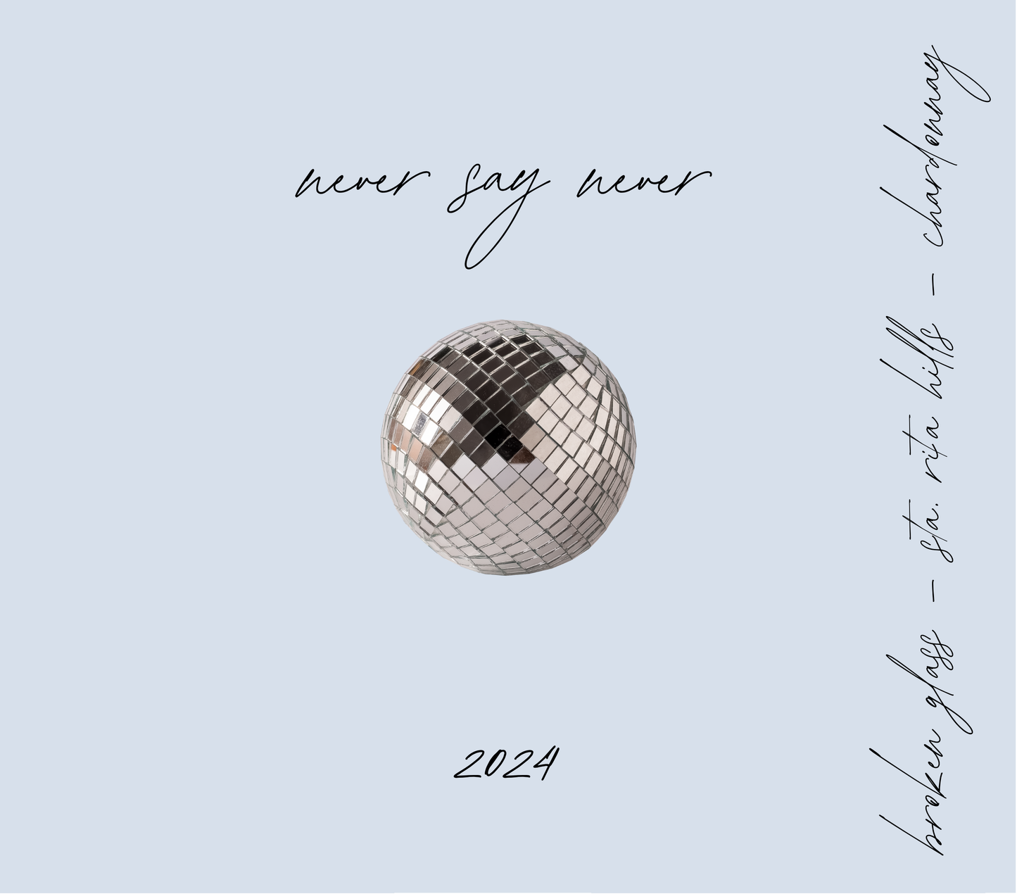 Silver disco ball on a light blue background with text 'never say never' and '2024'.